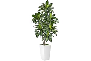 VIVATREES Dracaena Tree 6FT Artificial, 72in Tall Faux Dracaena Tree with 15.7 White Planter, Fake Potted Tree for Indoor & Outdoor Home Office Decor