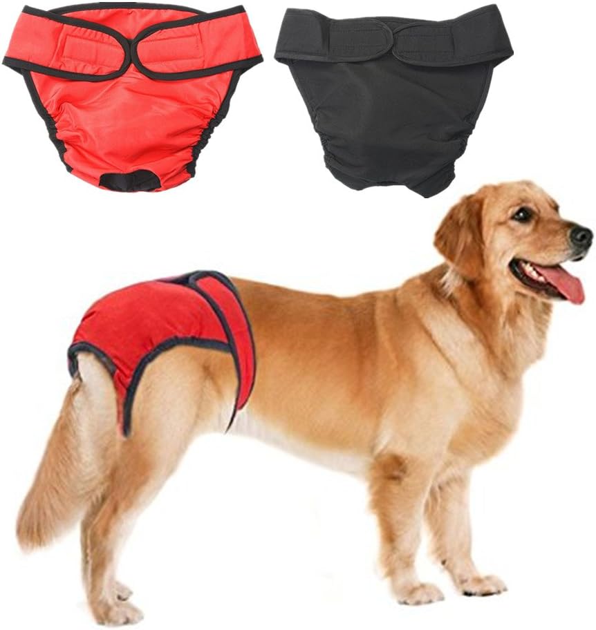 6 week old siberian husky puppy