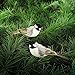 Gallerie II Chickadee Birds Clip Christmas Xmas Ornament Assortment of 2 A/2 Multi