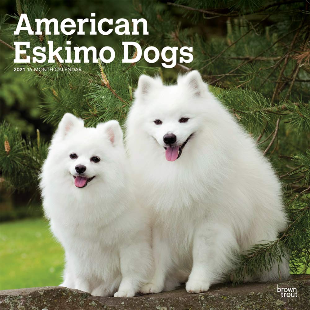 Akc Events Calendar 2021 Calendar June 2021
