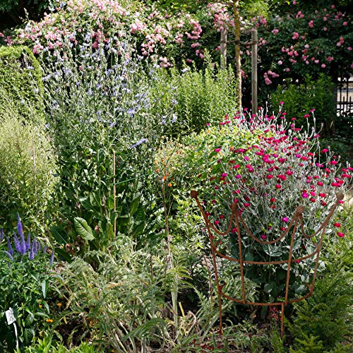 ecosoul Rankgitter Rankhilfe Krone Rankgerüst Metall Eisen Rost Deko Staudenhalter rund (57cm breit) – Bild 8