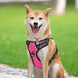 PoyPet No Pull Dog Harness Reflective Vest with 2 Leash Attachments (Hot Pink, view 2