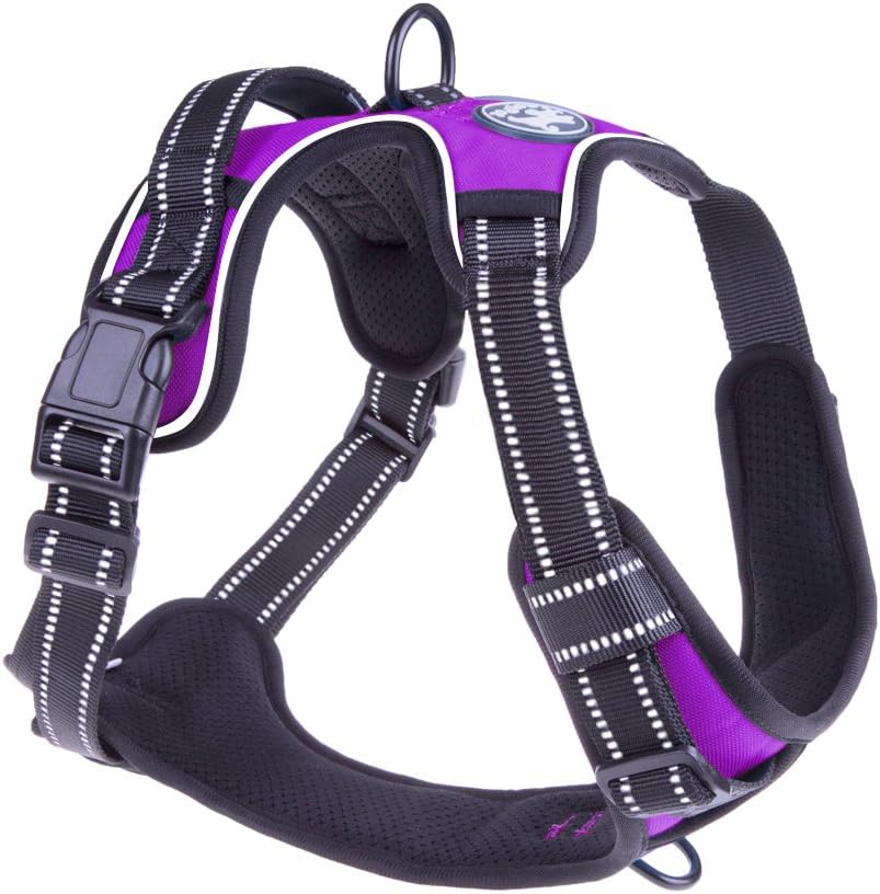 poypet dog harness