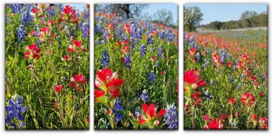 Modern Canvas Painting bluebonnets, indian paintbrush, wildflowers color, texas hill country Wall Art Artwork Decor Printed Oil Painting Landscape Home Office Bedroom Framed Decor (16