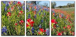 Modern Canvas Painting bluebonnets, indian paintbrush, wildflowers color, texas hill country Wall Art Artwork Decor Printed Oil Painting Landscape Home Office Bedroom Framed Decor (16