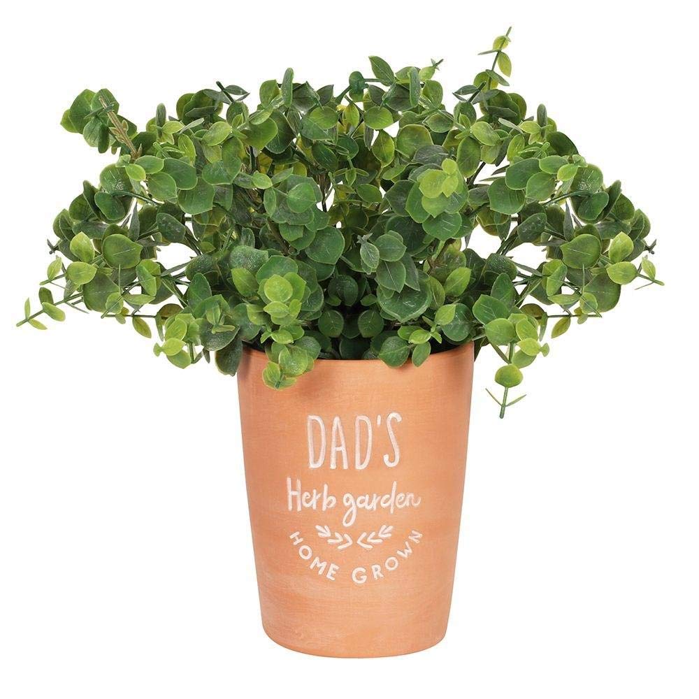 Classic Brown Terracotta Dad's Garden Plant Pot - 16cm x 13cm (1 Pc.) - Lush Greenery Design, Eco-Friendly & Durable Pot - Perfect for Gardens