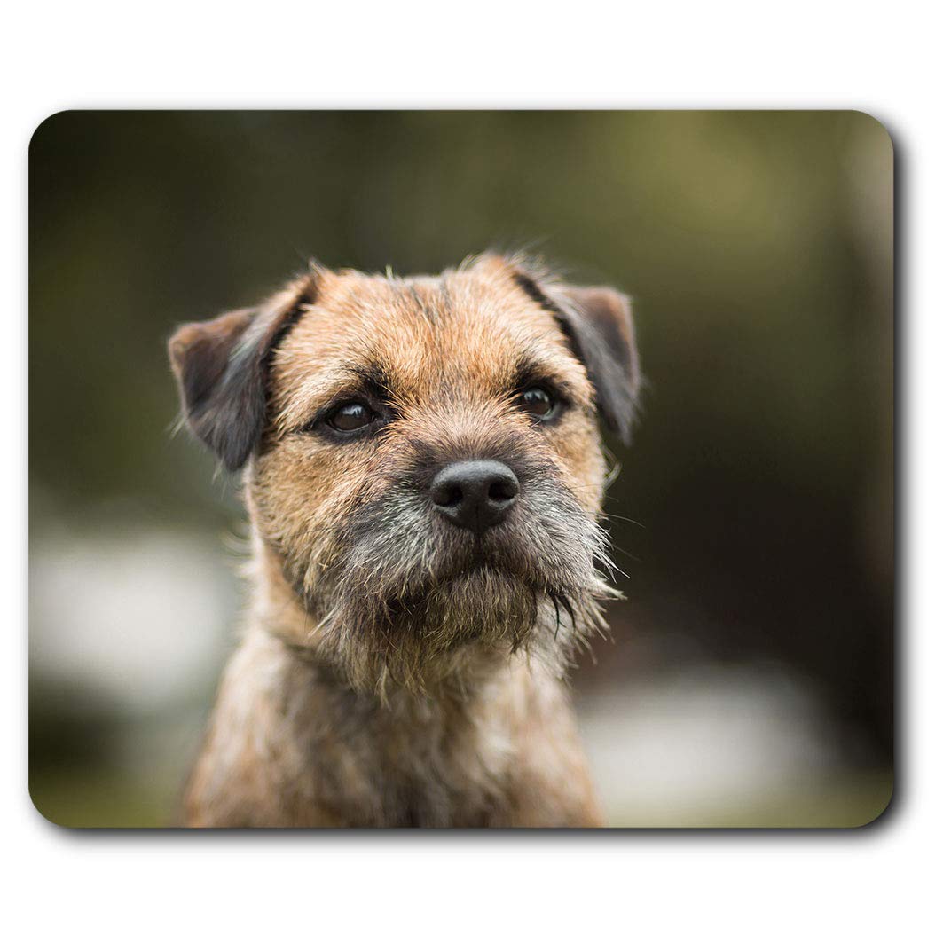 Brown Border Terrier Dog Puppy Mouse Mat Pad Computer PC Laptop Gaming Office Home Desk Accessory Gadget 15940