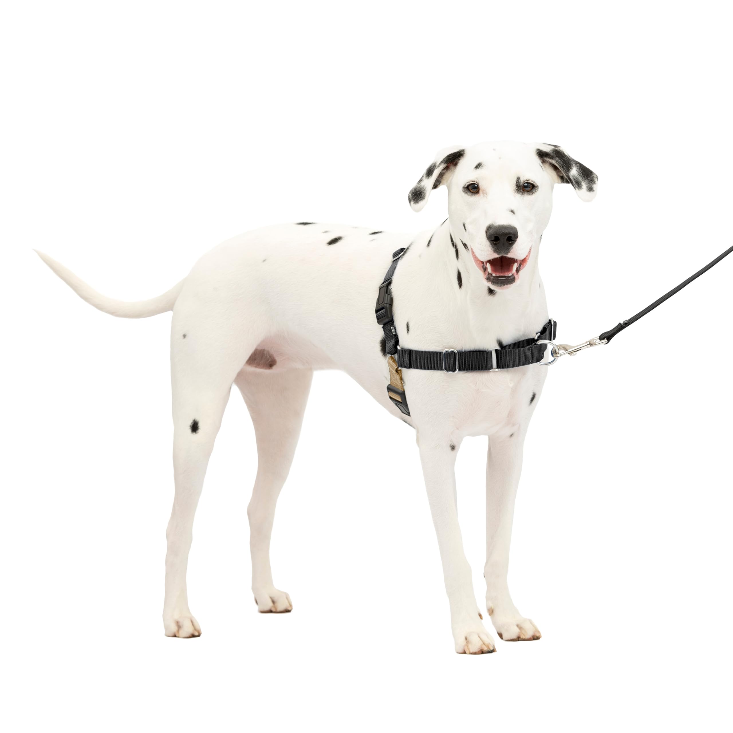 PetSafe Easy Walk Harness, No-Pull Walking Harness for Dogs, Adjustable Fit, Includes 1.8m Lead, Medium/Large-Black — image 1