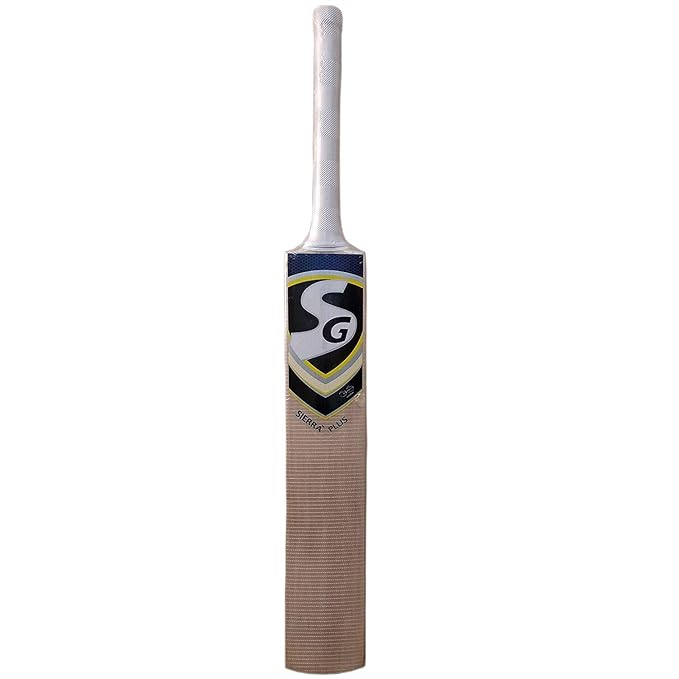 SG Sierra Plus Kashmir Willow Cricket Bat Amazon.in Sports, Fitness & Outdoors