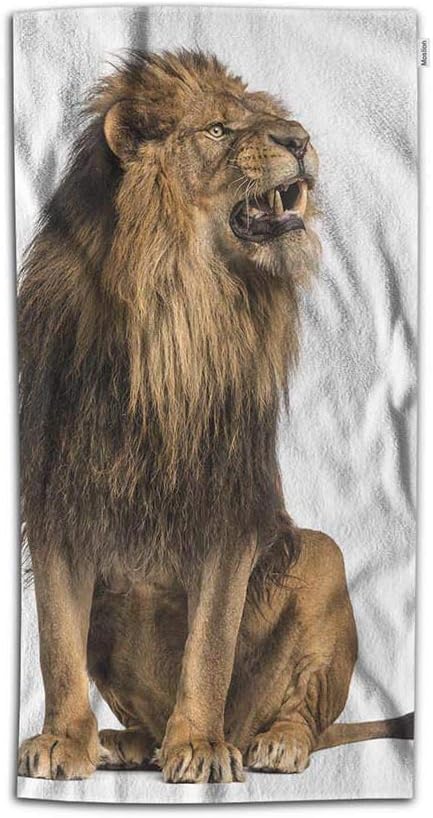 Amazon Co Jp Moslion ライオン ビーチタオル ブランケット 自然 野生動物 吠えるライオン レオ ブラウンの羽 タオル 柔らかいマイクロファイバータペストリー タッセル付き 63インチ 子供 大人用 Hand Towel 15w 30h Inch Towbeachyv 1695 ホーム キッチン Amazon Co Jp Moslion ライオン ビーチタオル ブランケット 自然 野生動物 吠えるライオン レオ ブラウンの羽 タオル 柔らかいマイクロファイバータペストリー タッセル付き 63インチ 子供 大人用 Hand Towel 15w 30h Inch Towbeachyv 1695 ホーム キッチン