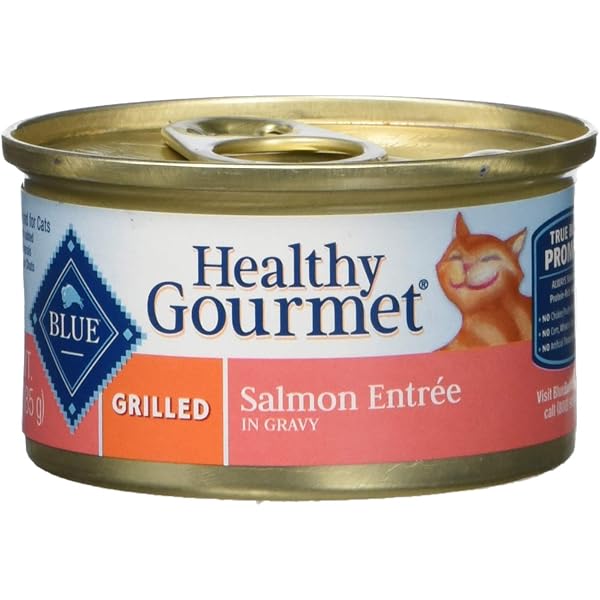 Blue Buffalo Sensitive Stomach Cat Food Target