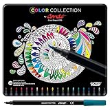 BIC Color Collection by Conte Felt Pen, Assorted Colors, 20-Count