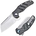 Kizer C01c (XL) Sheepdog Pocket Knife, 154CM Sheepsfoot Blade Folding Knife with G10 Carbon Fiber Handle, Camping Knife with Clip for Men Women, EDC Hunting Knife, V5488C3