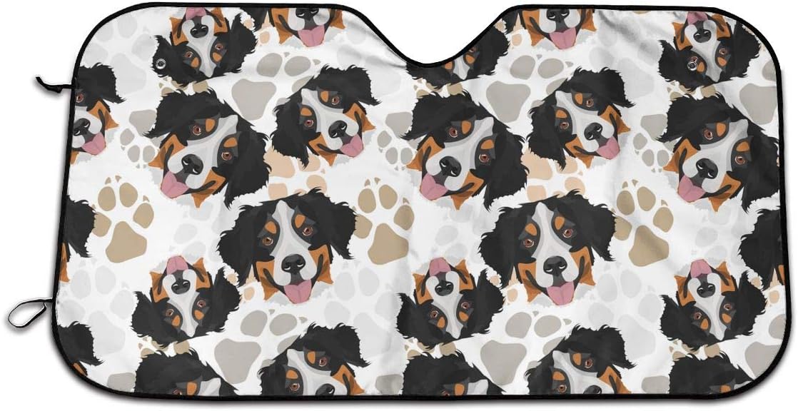 bernese mountain dog paws