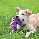KONG Shells Bear Dog Toy Small Brand Family Fun Chew Toy view 2