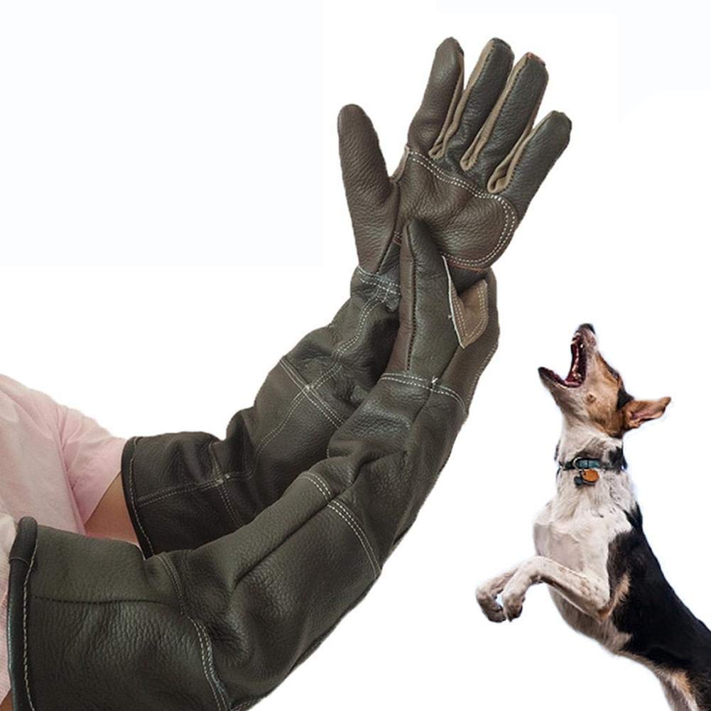 Chifans Pet Gloves Handling Gloves Anti Bite Protective Gloves Long Thick Leather Gloves Animal Handling Gloves Cat Dog Bird Parrot Lizard, Anti-bite/Scratch Gardening Wildlife Protection Gloves