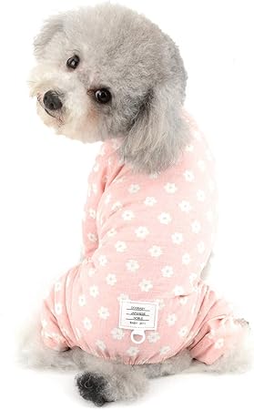 small dog pjs