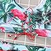 Sexy Women Two Pieces Lace up Bandage Bikini Swimsuit Set High Waisted Bathing Suit (C, Medium)