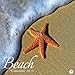 Beach Calendar 2019: Beaches 2019 Wall Calendar Mini 8.5 x 8.5 12 Month Colorful Beach Images by Sweet Calendars