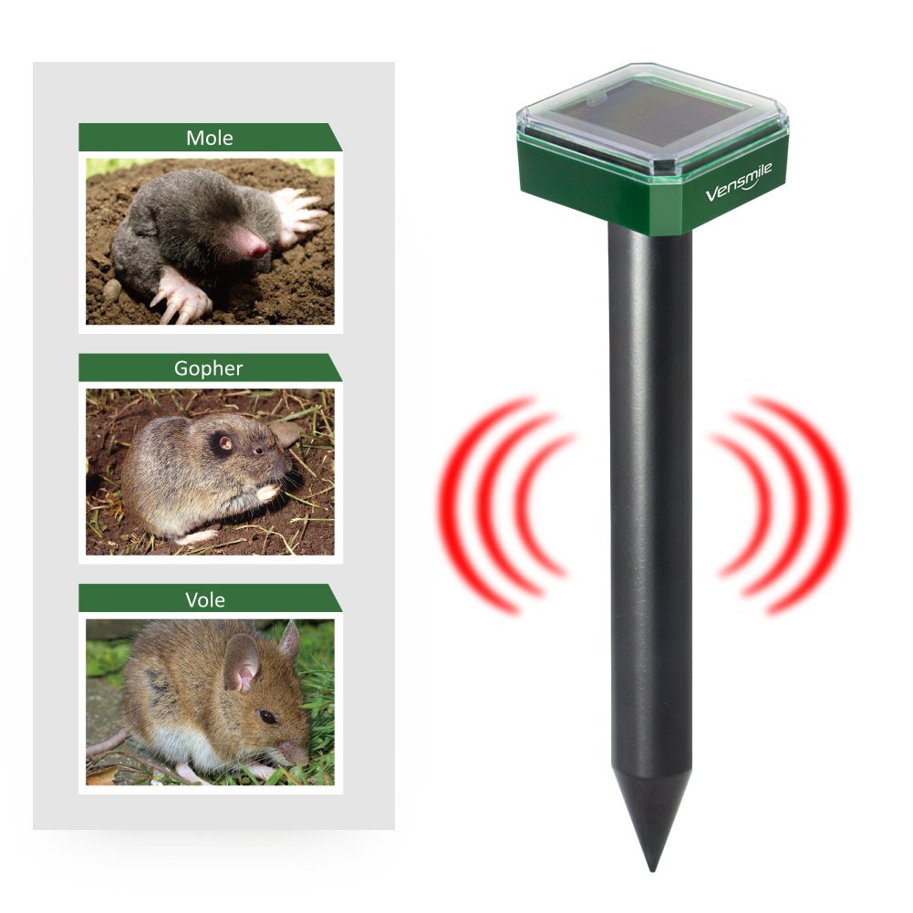 Amazoncom 2 X VENSMILE Solar Powered Mole Repellent Gopher