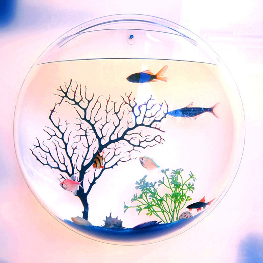 NORHOR Closed Aquatic Ecosystem,Hanging Wall Mounted Fish Bowl,Home