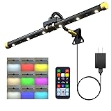 Picture Light with Remote, Led Accent Light