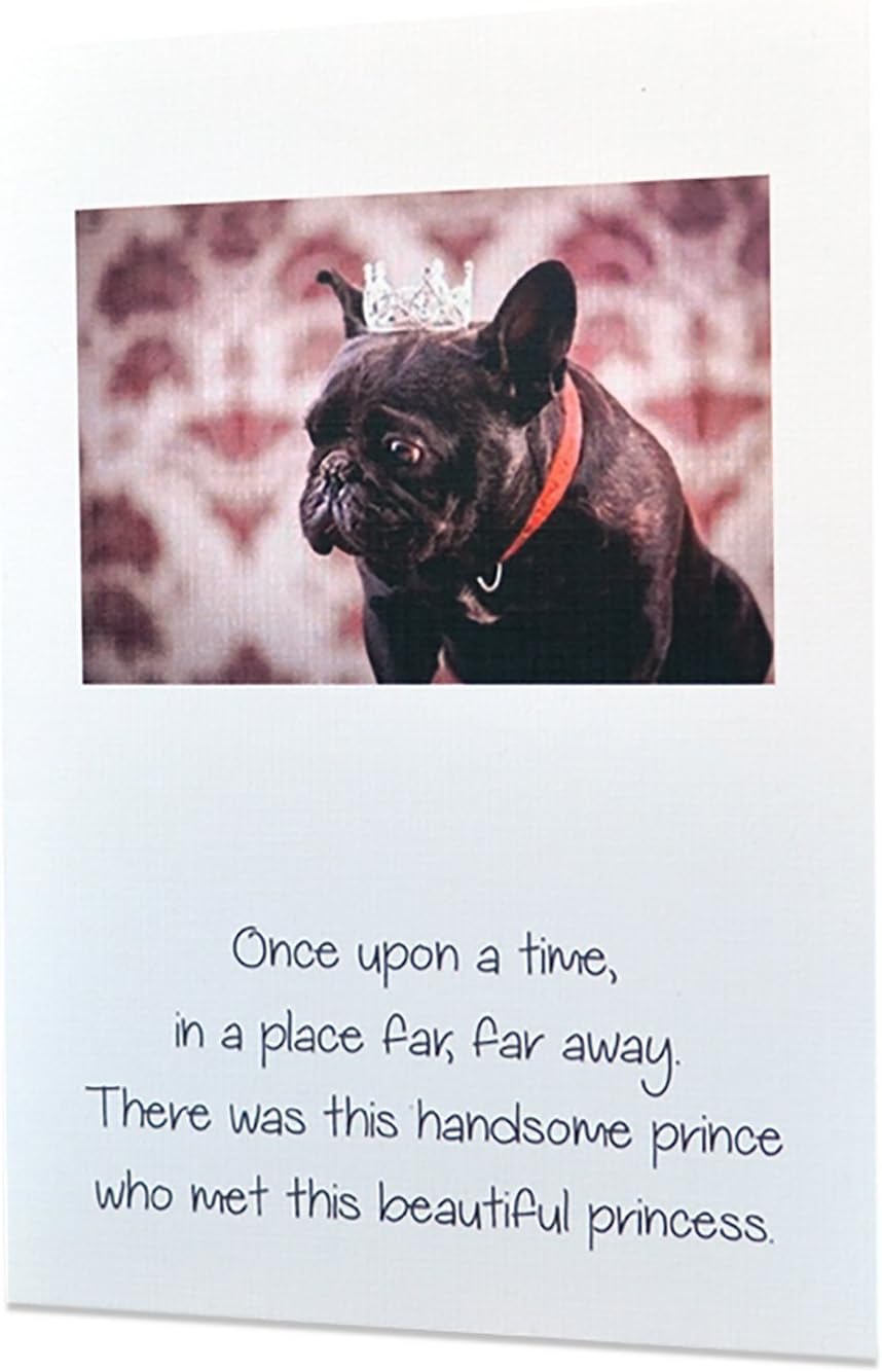 Adult Funny Inappropriate Sexy Greeting Cards - Any Occasions - “Once Upon a time, in a Place far, far Away.” - Excellent Quality Printing + 100% Linen
