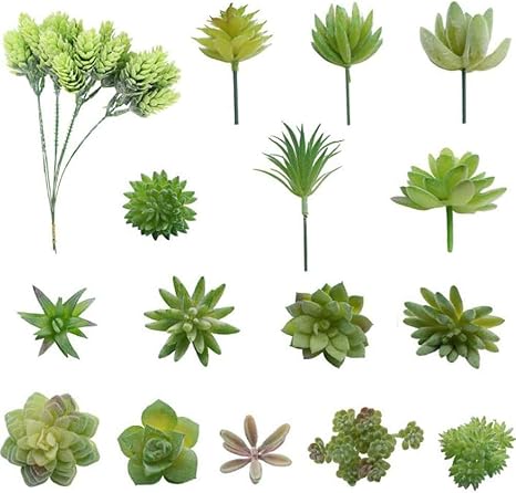 Amazon Zooarts 人工多肉植物 人工観葉植物 枯れない インテリア オフィス飾り用 テーブル装花 花飾り １５セット 1つ 様式ランダム 人工観葉植物 オンライン通販