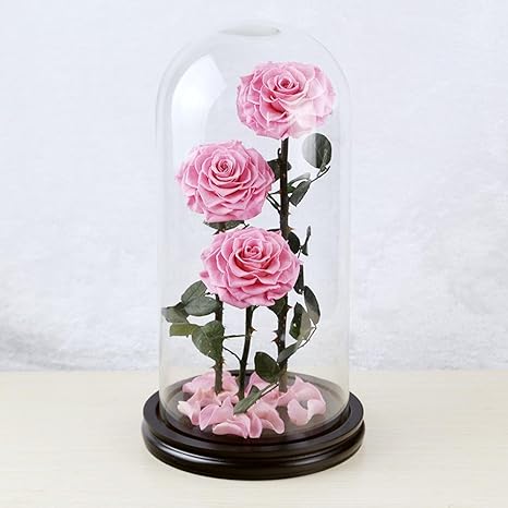 Wmshpeds Fleur éternelle Rose De Noël Cadeau Mega Verre Du