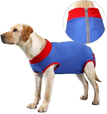 dog operation collar