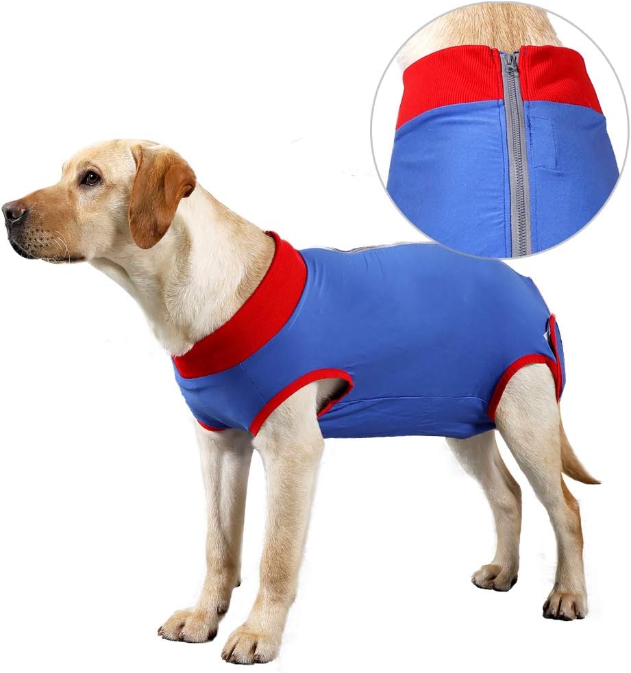 Dog Recovery Suit Surgical Recovery Shirt for Dog Male Female, Cone ECollar Alternative Pet