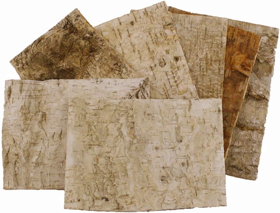 FloristryWarehouse Birch Tree Bark Sheets 42 x 27cm Pack of 7 Amazon.co.uk Kitchen & Home