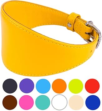 lurcher collars amazon