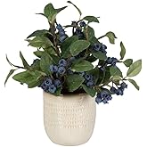 Uttermost 60215 Blueberry Fields - Planter-12 Inches Tall and 10 Inches Wide
