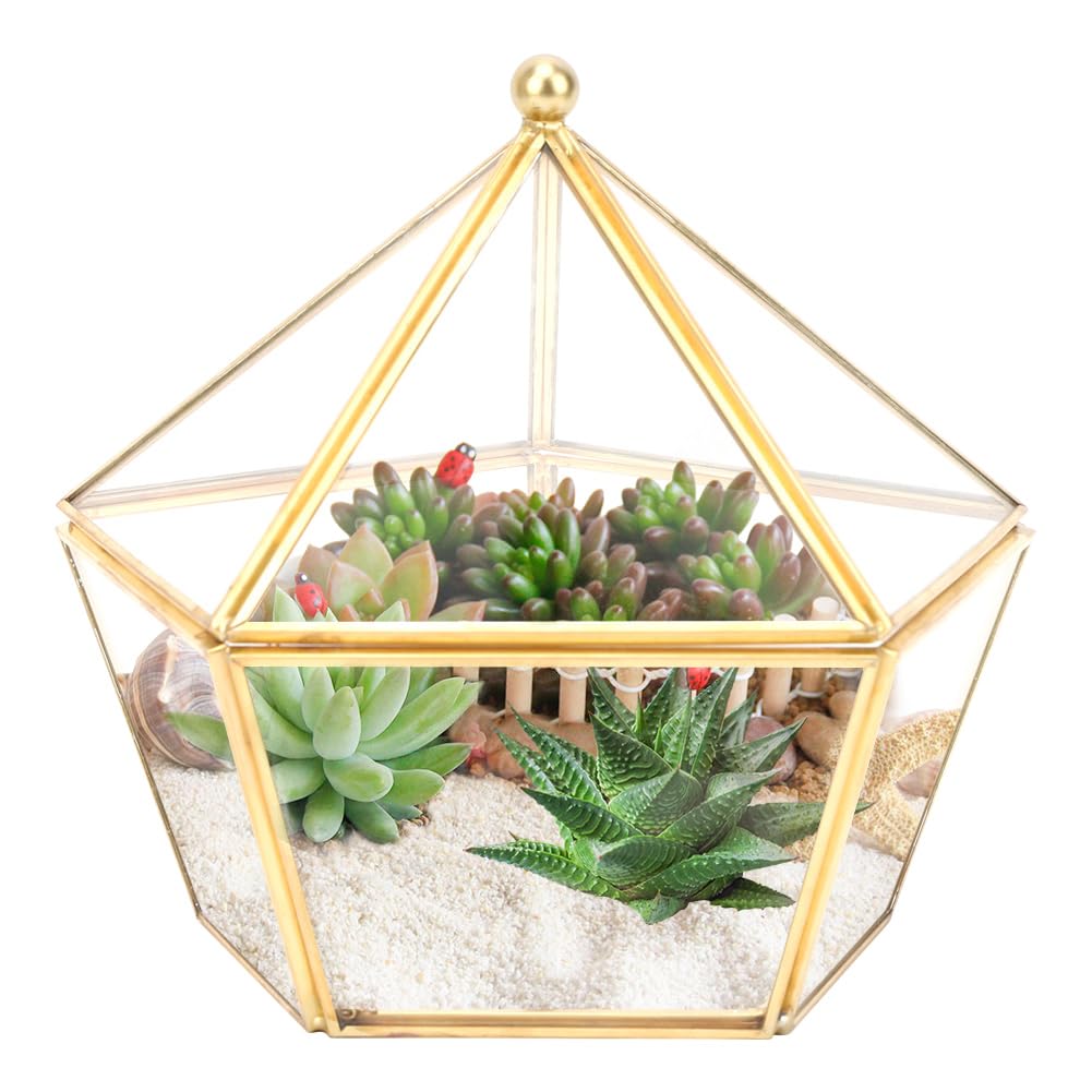 Mini Glass Geometric Terrarium, 6.3inch Air Plant Holder Window Sill Decor Shelf, Glass Flower Pot Succulent Plants Container Planters Terrarium, Indoor Home Garden Tabletop Decor