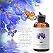 Laritelle Organic Post-Shampoo Hair Strengthening & Scalp Toning Treatment for Men & Women 3 x 2 oz | Fortifying, Strengthening & Rejuvenating | Stops Hair Shedding, Promotes New Hair Growth