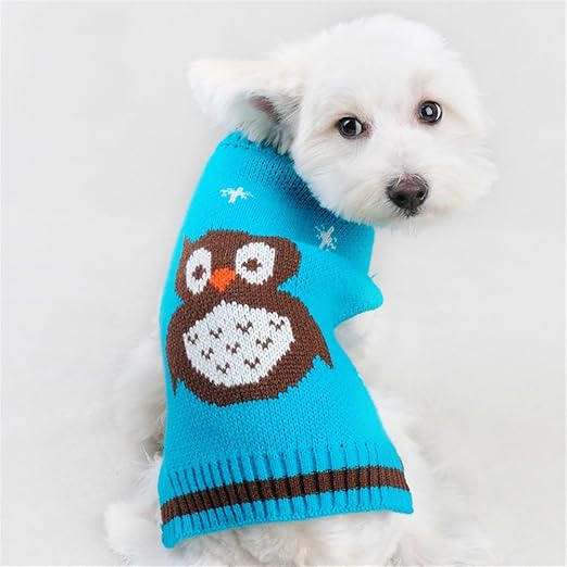 amazon dog apparel