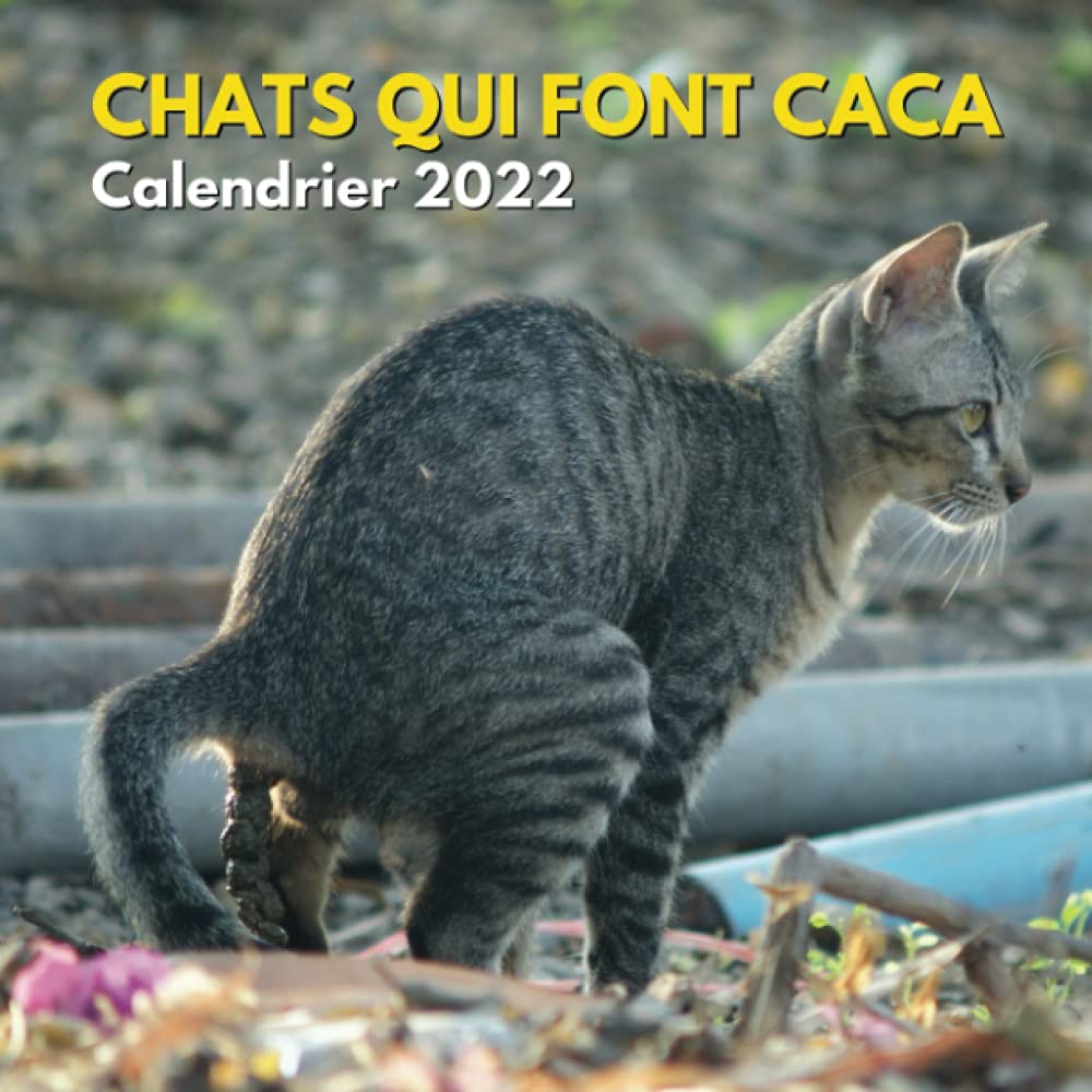 Chats Qui Font Caca Calendrier 22 Drole Idee Cadeau Chat Cadeaux D Amant De Chat Et Cadeau De Proprietaire De Chat Cadeaux Pour Blague Maman Papa Anniversaire Noel
