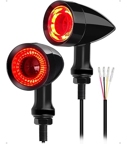 Amazon.com: Motorcycle Refit Retro Universal Black Skull 12V LED