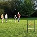 Maranda Enterprises Metal Ladderball Game