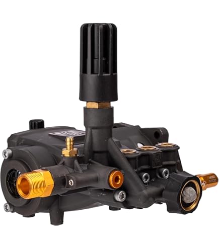 Amazon.com : 530017 AAA Phoenix CY Series Triplex Plunger