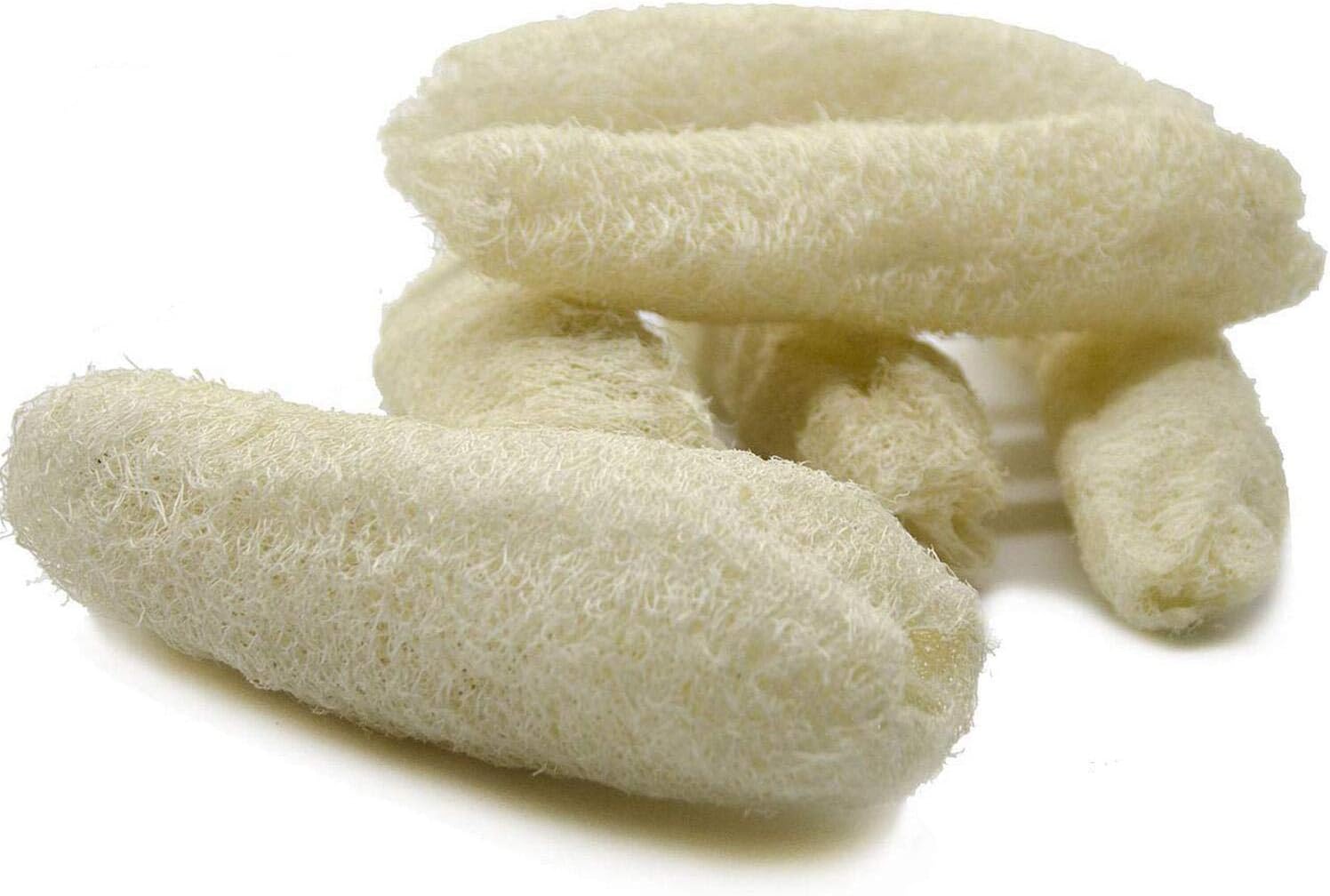 Deloky 6 Packs Large Natural Loofah Exfoliating Bath Sponges-Organic Shower Loofah -Body Scrubbers Sponges Loofahs,Cleansing Exfoliation Sponge for Bath Shower Body Back Scrubber and Kitchen cleanin