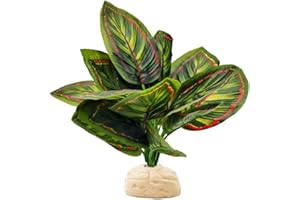 FLMOVING Reptile Terrarium Decor,Amphibian Habitat Decor,Artificial Plants for Crested Gecko Tank Accessories Suitable for Leopard Gecko Bearded Dragon Lizard Chameleon Snake Tortoise (Calathea makoyana-E)