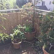 Balkon sichtschutz bambus Balkon sichtschutz bambus