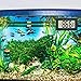JEDEW Aquarium Thermometer, LCD Digital Fish Tank Water Terrarium Temperature Meters Gauge for Reptile Terrarium Fish Tank Refrigerator, Fahrenheit (℉) Display