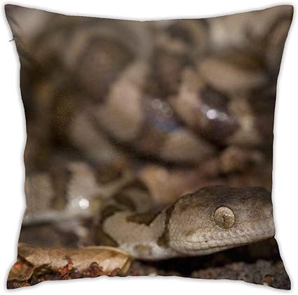 Amazon Co Jp モナ 島 蛇 抱き枕カバー クッションカバー 枕かばー ピローケース45x45cm 枕カバー おしゃれ のびのび枕カバー タオル地 吸湿速乾 防ダニ ホーム キッチン