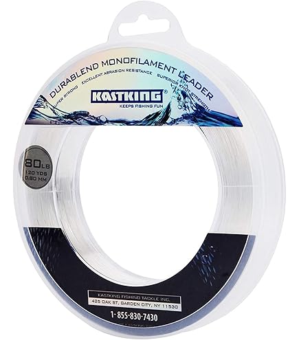 Amazon.com : SPEARFISHING WORLD 250lb/1.6mm Premium Monofilament Color  Leader Line for Saltwater Big Fish Spearfishing and Fishing Made in USA.  100ft Spool (Black) : Sports & Outdoors