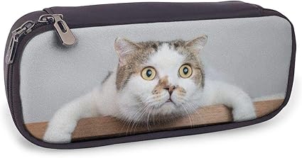 Amazon ペンケース 大容量 筆箱 びっくり 猫 ショック シンプル 多機能 化粧ポーチ おしゃれ 高校生 可愛い 便利 プレゼント 会社 通勤 女 男 Bolaco ペンケース 文房具 オフィス用品