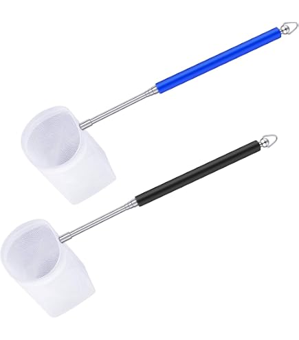 Amazon.com: 2 PCS Aquarium Shrimp Net, 2 Inch Small Fish Nets for Fish Tank with Long Extendable Stainless Steel Handle, Round Fine Mesh Net for Fishes Shrimp Tank Pond Creek Food Residue Amazon.com: 2 PCS Aquarium Shrimp Net, 2 Inch Small Fish Nets for Fish Tank with Long Extendable Stainless Steel Handle, Round Fine Mesh Net for Fishes Shrimp Tank Pond Creek Food Residue