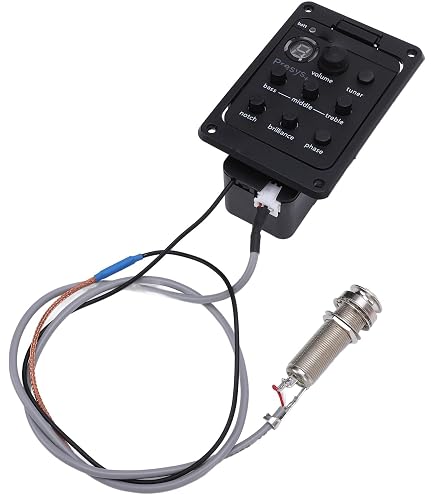 Amazon.com: EBS Stanley Clarke Signature Acoustic Preamp : Musical